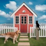 assurance habitation et animaux domestiques : que couvre réellement votre contrat ?